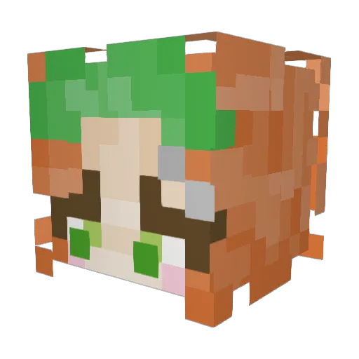Riniel9232 Minecraft avatar head, 3D render