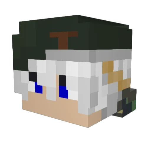 Rink51051 Minecraft avatar head, 3D render