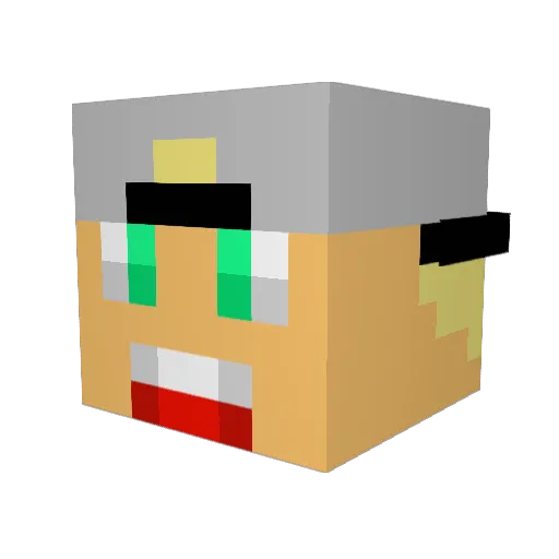 RinkPower Minecraft avatar head, 3D render