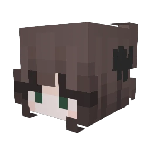 Rinkanaka Minecraft avatar head, 3D render