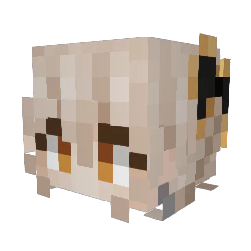 Rinko1213 Minecraft avatar head, 3D render