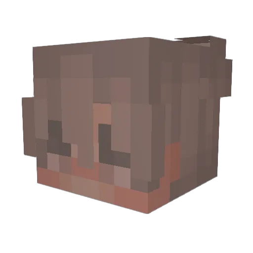 Rinky_ Minecraft avatar head, 3D render