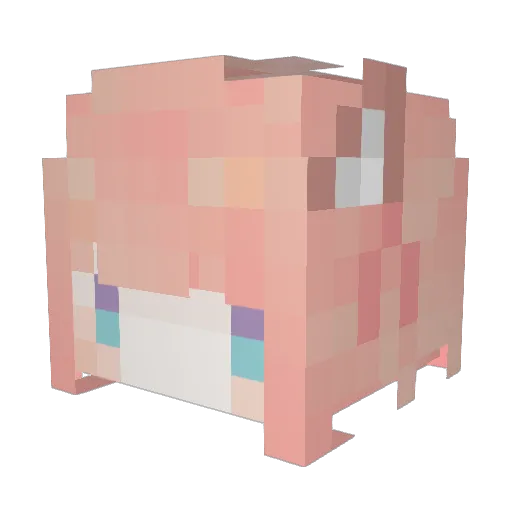 Rinnly_ Minecraft avatar head, 3D render