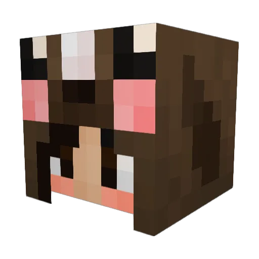 Rino0503 Minecraft avatar head, 3D render