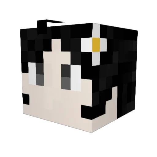 Rino_Tomo Minecraft avatar head, 3D render