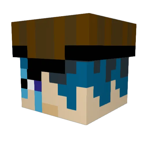 Rinoka323 Minecraft avatar head, 3D render