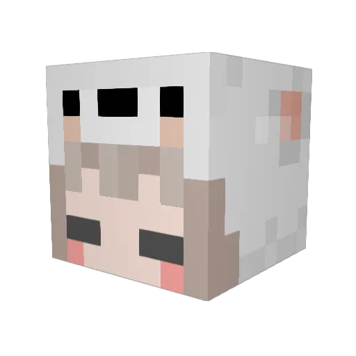Rinphire Minecraft avatar head, 3D render