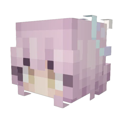 Rinsiruu Minecraft avatar head, 3D render