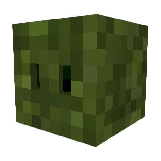 Rinsss Minecraft avatar head, 3D render