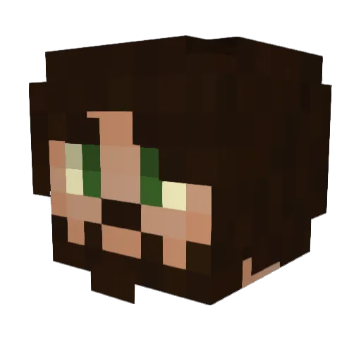 Rinus Minecraft avatar head, 3D render