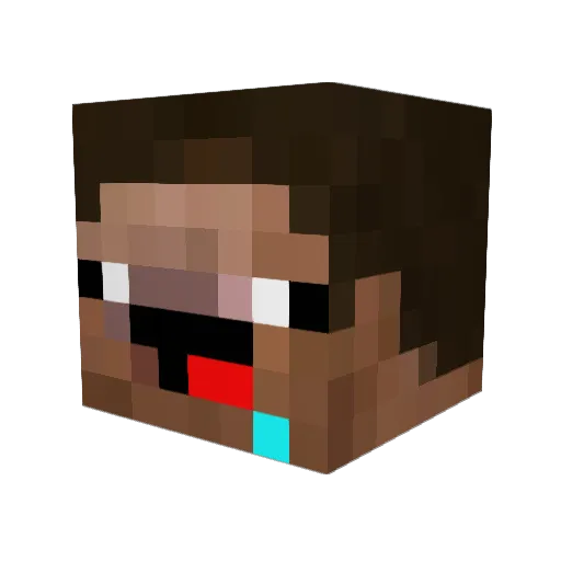RinxzGameszNL Minecraft avatar head, 3D render
