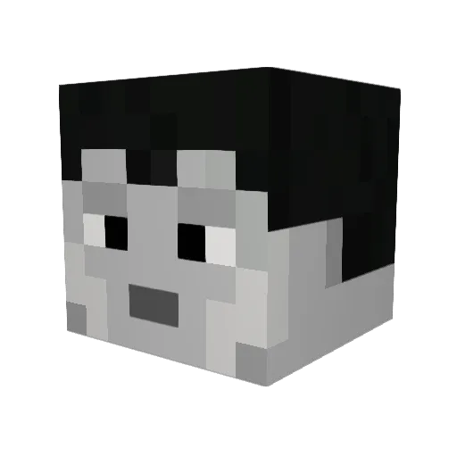 Rinzler2001 Minecraft avatar head, 3D render
