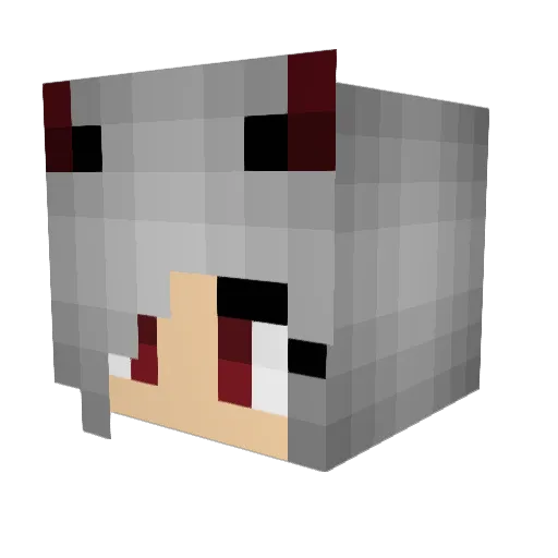 Rio6915 Minecraft avatar head, 3D render