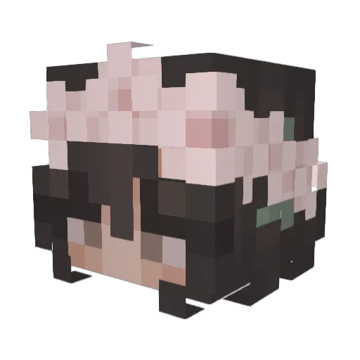 RioDaG Minecraft avatar head, 3D render