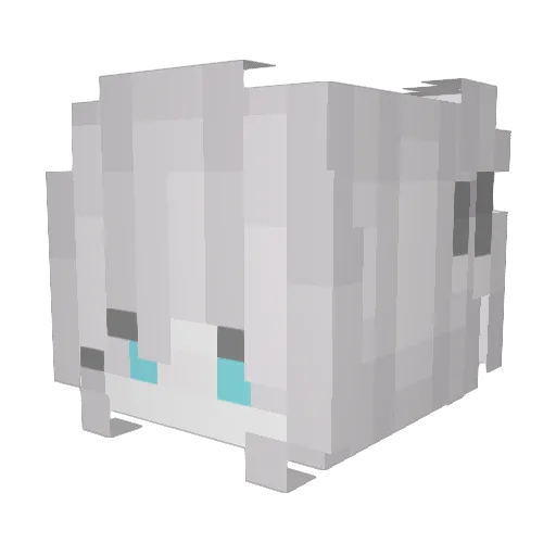 Rio_P Minecraft avatar head, 3D render