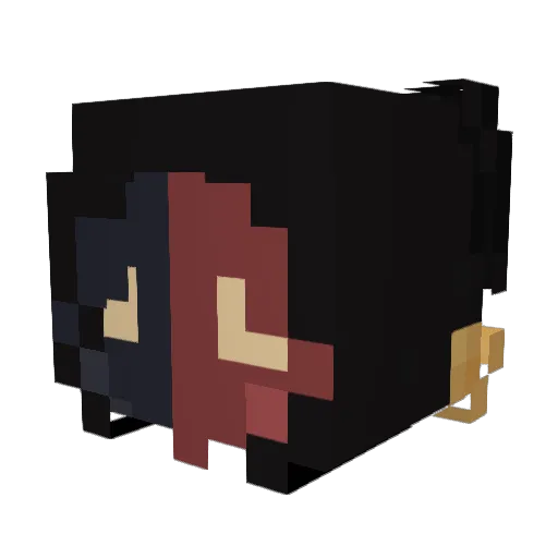 Riolil Minecraft avatar head, 3D render