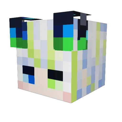 Riolockle Minecraft avatar head, 3D render