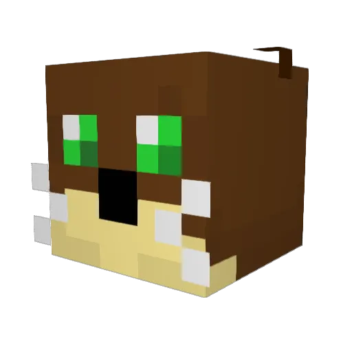 RionBastion Minecraft avatar head, 3D render