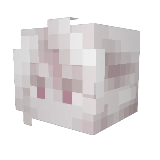 Rion_exe Minecraft avatar head, 3D render