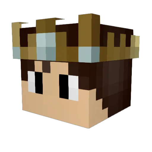 Riooooooooooo Minecraft avatar head, 3D render