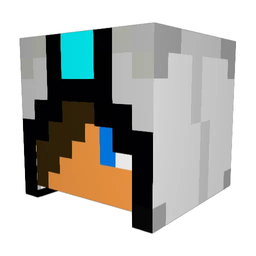 Rioplox623 Minecraft avatar head, 3D render