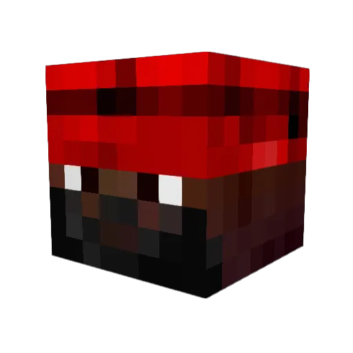 Riosd Minecraft avatar head, 3D render