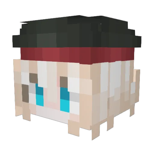 Riot555 Minecraft avatar head, 3D render