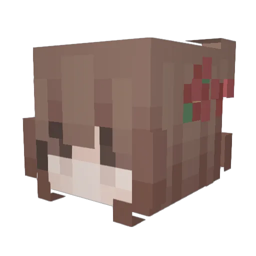 RiotBow3 Minecraft avatar head, 3D render