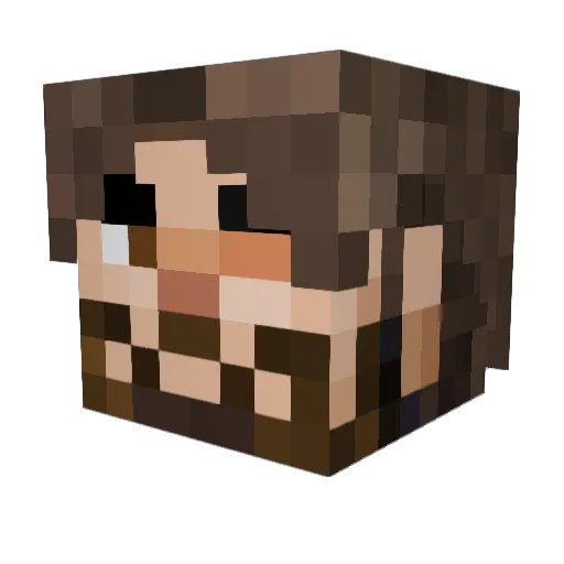 RiotRyan Minecraft avatar head, 3D render