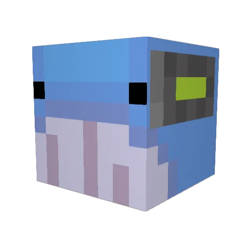 Riot_Whale Minecraft avatar head, 3D render
