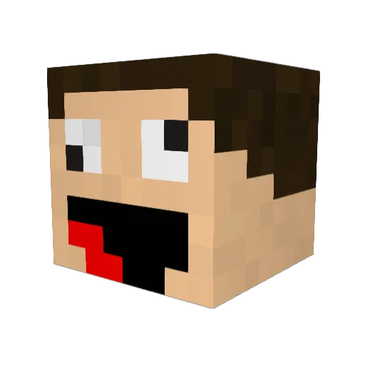 Riotking20 Minecraft avatar head, 3D render