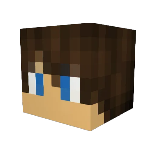 Riottide Minecraft avatar head, 3D render