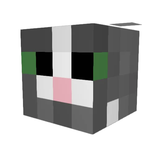 RipDollyParton Minecraft avatar head, 3D render