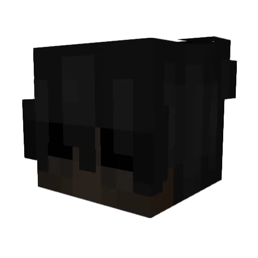 RipNballs Minecraft avatar head, 3D render
