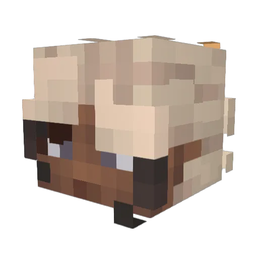 RipTheShrimp Minecraft avatar head, 3D render