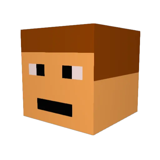 RipTide6 Minecraft avatar head, 3D render