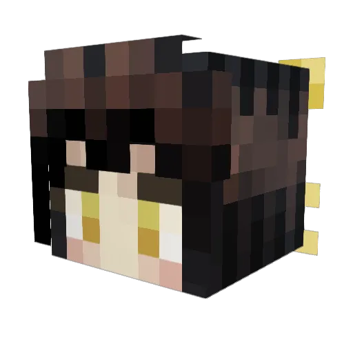 Rip_Oden Minecraft avatar head, 3D render
