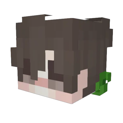 Rip_Taha Minecraft avatar head, 3D render