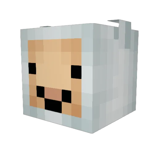 Rip_Void Minecraft avatar head, 3D render