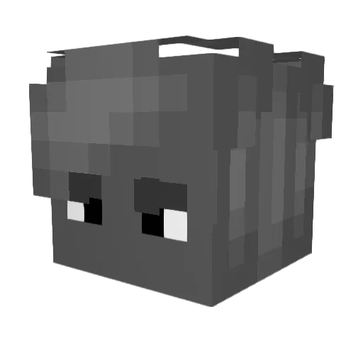 Rip__1 Minecraft avatar head, 3D render