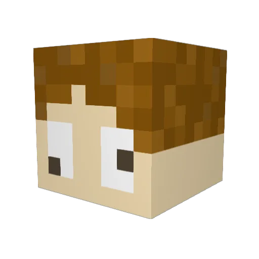 RipeeR4 Minecraft avatar head, 3D render