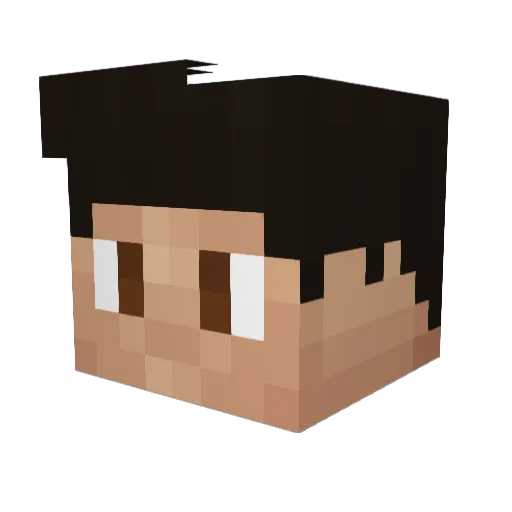 Ripes_ Minecraft avatar head, 3D render