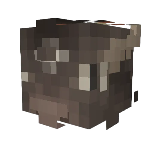 Ripjawxz Minecraft avatar head, 3D render