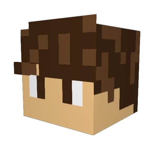 Rippage Minecraft avatar head, 3D render