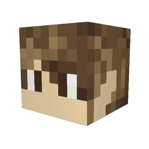 Rippe Minecraft avatar head, 3D render