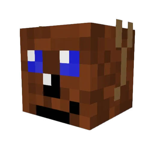 RippeRino05 Minecraft avatar head, 3D render