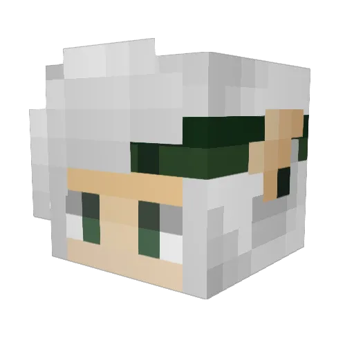 Rippedllama Minecraft avatar head, 3D render