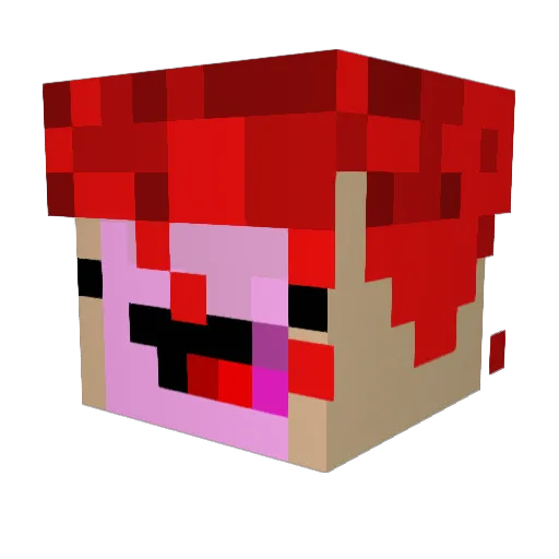 Rippingcheeks Minecraft avatar head, 3D render