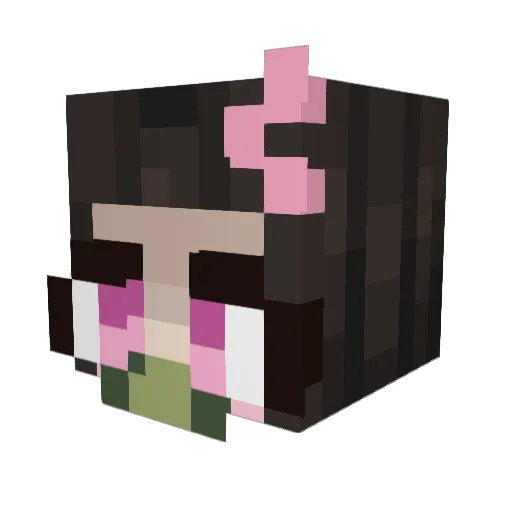 Rippledash Minecraft avatar head, 3D render