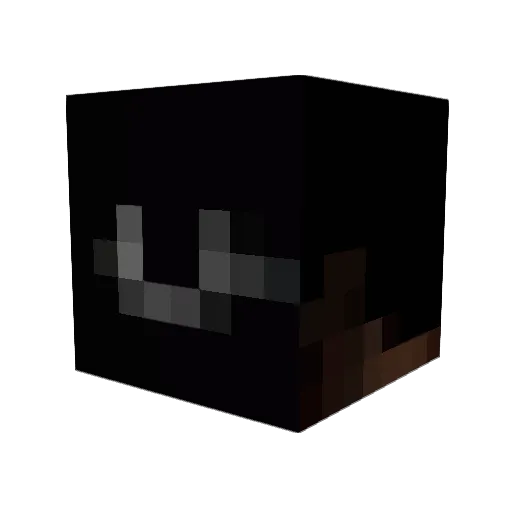 RippleyGamer Minecraft avatar head, 3D render